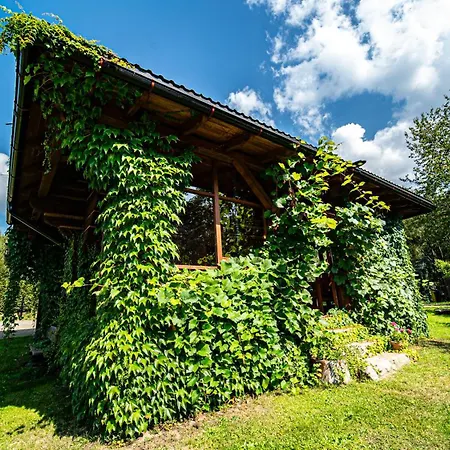 Dom wakacyjny Wapienne Sekowa