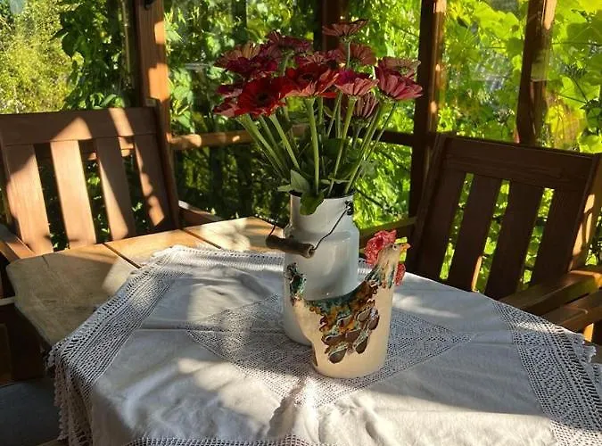 Ferienhaus Wapienne *